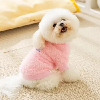 Warm Plush Puppy Sweatshirt: Fit, Care & Layering Tips
